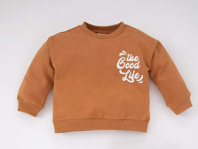 [Z1953A2OG332] سويت شيرت مطبوع  (4 - 5 year)