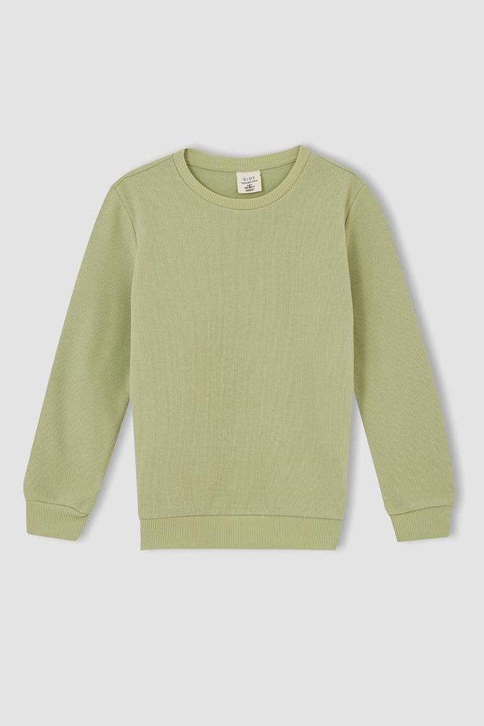 [l0311a6gn767] سويت شيرت نعناعي (4 - 5 year)